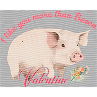 Valentine's Day-QRJ  4168